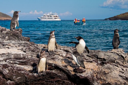 Photo by Andean Travel Company Photo by Andean Travel Company